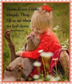 Animals are Earths Angels. They lift us up when we feel down. ~April Peerless