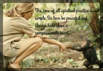 The core of all spiritual practice is simple. Be love,be peaceful and always hold close a compassionate heart. A.Peerless