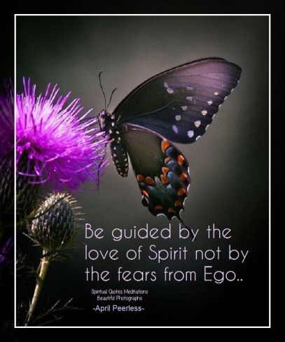 Be guided by the love of Spirit, not by the fears from Ego. Ego brings in fear. Love brings in peace.. The love of Spirit is the food for our Souls. April Peerless2014