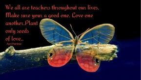 We all are teachers throughout our lives. Make sure your a good one. Love one another. Plant only seeds of love.. ~April Peerless