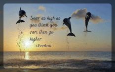 Soar as high as you think you can go, then go higher. April Peerless