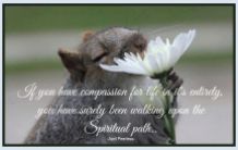 If you have compassion for life in it’s entirety, you have surely been walking upon the Spiritual path. ~April Peerless2014