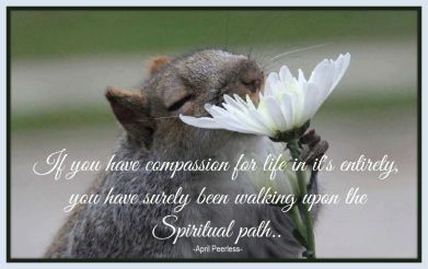 If you have compassion for life in it’s entirety, you have surely been walking upon the Spiritual path. ~April Peerless2014