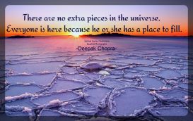 There are no extra pieces in the universe. Everyone is here because he or she has a place to fill, and every piece must fit itself into the big jigsaw puzzle.. ~Deepak Chopra