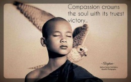 Compassion crowns the soul with its truest victory. ~Aberjhani