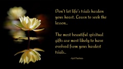 Don’t let life’s trials harden your heart. Learn to seek the lesson. The most beautiful spiritual gifts are most likely to have evolved from your hardest trials. ~April Peerless