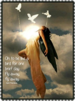 Oh to be like a bird for one brief day. Fly away, fly away. ~April Peerless