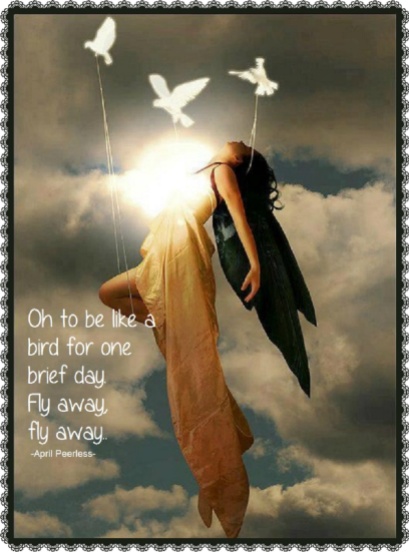 Oh to be like a bird for one brief day. Fly away, fly away. ~April Peerless
