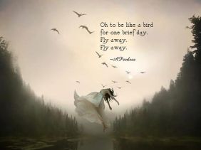 Oh to be like a bird for one brief day. Fly away, fly away.