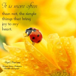 It is more often than not, the simple things that bring my heart joy. A.Peerless