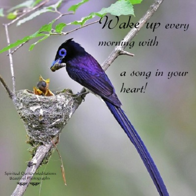 Wake up every morning with a song in your heart!