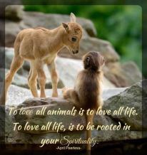 To love all animals is to love all life. To love all life, is to be rooted in your spirituality. To be rooted in your spirituality, is beautiful.. April Peerless
