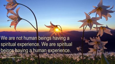 We are not human beings having a spiritual experience. We are spiritual beings having a human experience.. ~Pierre Teilhard de Chardin