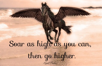 Soar as high as you can, then go higher.. ~April