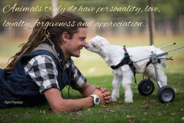 Animals truly do have personality, love, loyalty, forgiveness and appreciation towards not only their own kind but the human species as well.. ~April Peerless