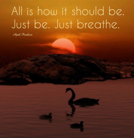 When I look to nature I hear our creators voice whisper, ''Be still and just be in this moment.'' In this very moment a blessing comes forth with a peaceful vibration that resides in the silence. All is how it should be. Just be. Just breathe. ~April Peerless