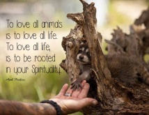 To love all animals is to love all life. To love all life, is to be rooted in your spirituality. ~April Peerless