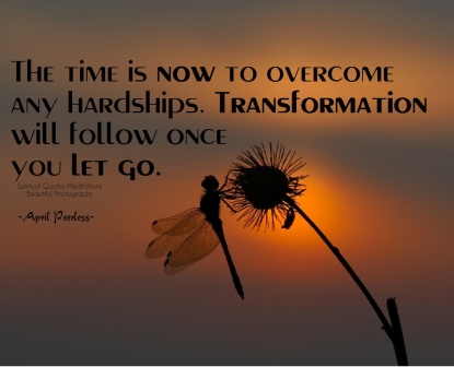 The time is ''now'' to overcome any hardships. Transformation will follow once you let go. Embrace this and carry on! ~April Peerless