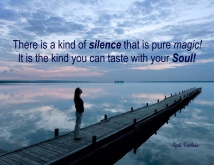 There is a kind of silence that is pure magic! It is the kind you can taste with your Soul! ~A.Peerless