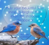May your beautiful Soul shine so brightly that even the shadows disappear. ~April Peerless