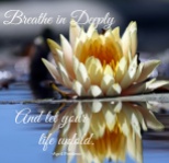Breathe in deeply And let your life unfold. April Peerless