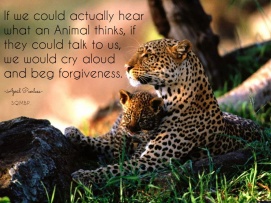 If we could actually hear what an Animal thinks, if they could talk to us, we would cry aloud and beg forgiveness... April Peerless