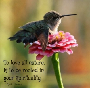 All of the smallest wonders we experience in our lives, should make us realize just what a magnificent being we truly must be. To love all nature is to be rooted in our spirituality. A.Peerless