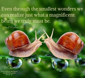 Even through the smallest wonders..