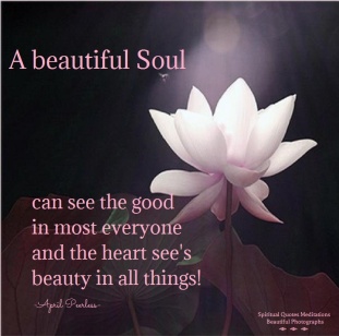 A beautiful Soul can see the good in most everyone and the heart see's beauty in all things! -April Peerless