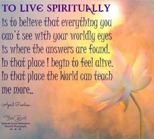 To live blindly is to see the World and believe that is all there is, that there is nothing more.. To live Spiritually is to believe that everything you can't see with your worldly eyes is where the answers are found. In that place I begin to feel alive. In that place the World can teach me more.. April Peerless