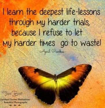 I learn the deepest life-lessons through my harder trials, because I refuse to let my harder times go to waste! April Peerless