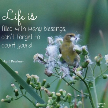 Life is filled with many blessings. Don’t forget to count yours! April Peerless