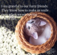 I am grateful to our furry friends, they know how to make us smile even when we are having a hard day. April Peerless