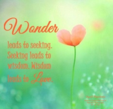 Wonder leads to seeking. Seeking leads to wisdom. Wisdom leads to love. April Peerless
