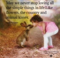 May we never stop loving all the simple things in life.Like flowers, the country and animal kisses. April Peerless #WUVIP SQMBP