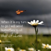 When it is my turn to go I will send butterflies to all that I love.. April Peerless SQMBP