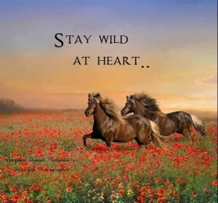 Stay wild at heart..