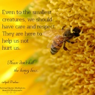 Even to the smallest creatures, we should have care and respect. They are here to help us not hurt us. Please don't kill the honey bees. . April Peerless