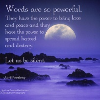 Words are so powerful.They have the power to bring love and peace and they have the power to spread hatred and destroy. Let us be silent. April Peerless