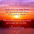 Miracles happen daily but we take them for granted and don't even notice them. For example; each morning we wake-up we are breathing. A.Peerless