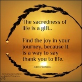 The sacredness of life is a gift. Find the joy in your journey, because it is a way to say thank you to life. April Peerless