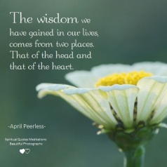 The wisdom we have gained in our lives, comes from two places.That of the head and that of the heart. April Peerless