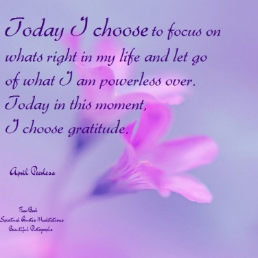 Today I choose to focus on whats right in my life and let go of what I am powerless over. Today in this moment, I choose gratitude. A.Peerless
