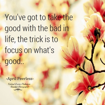 You've got to take the good with the bad in life, the trick is to focus on what's good. A.Peerless