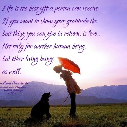 Life is the best gift a person can receive. If you want to show your gratitude the best thing you can give in return is love.. Not only for another human being but other living beings as well. April Peerless